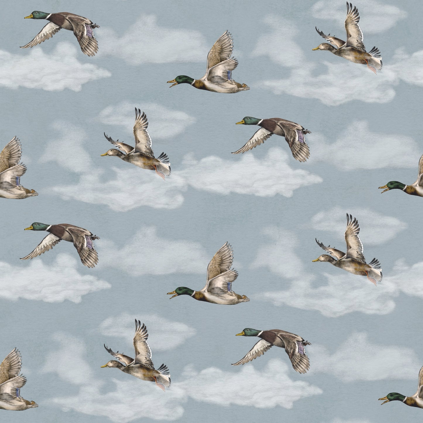 Summer Gray Wallpaper - Voyage, Petit - Winter Blue