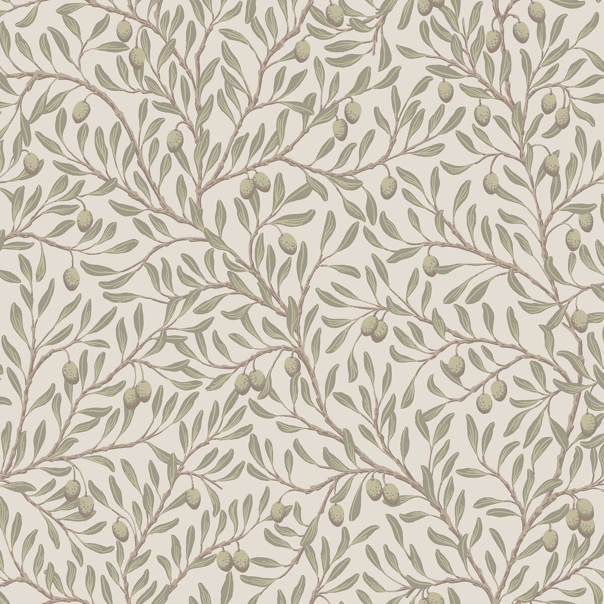 Papier peint Borastapeter - Olivträd - Vert