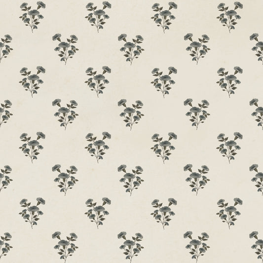 Herbier - Pierre