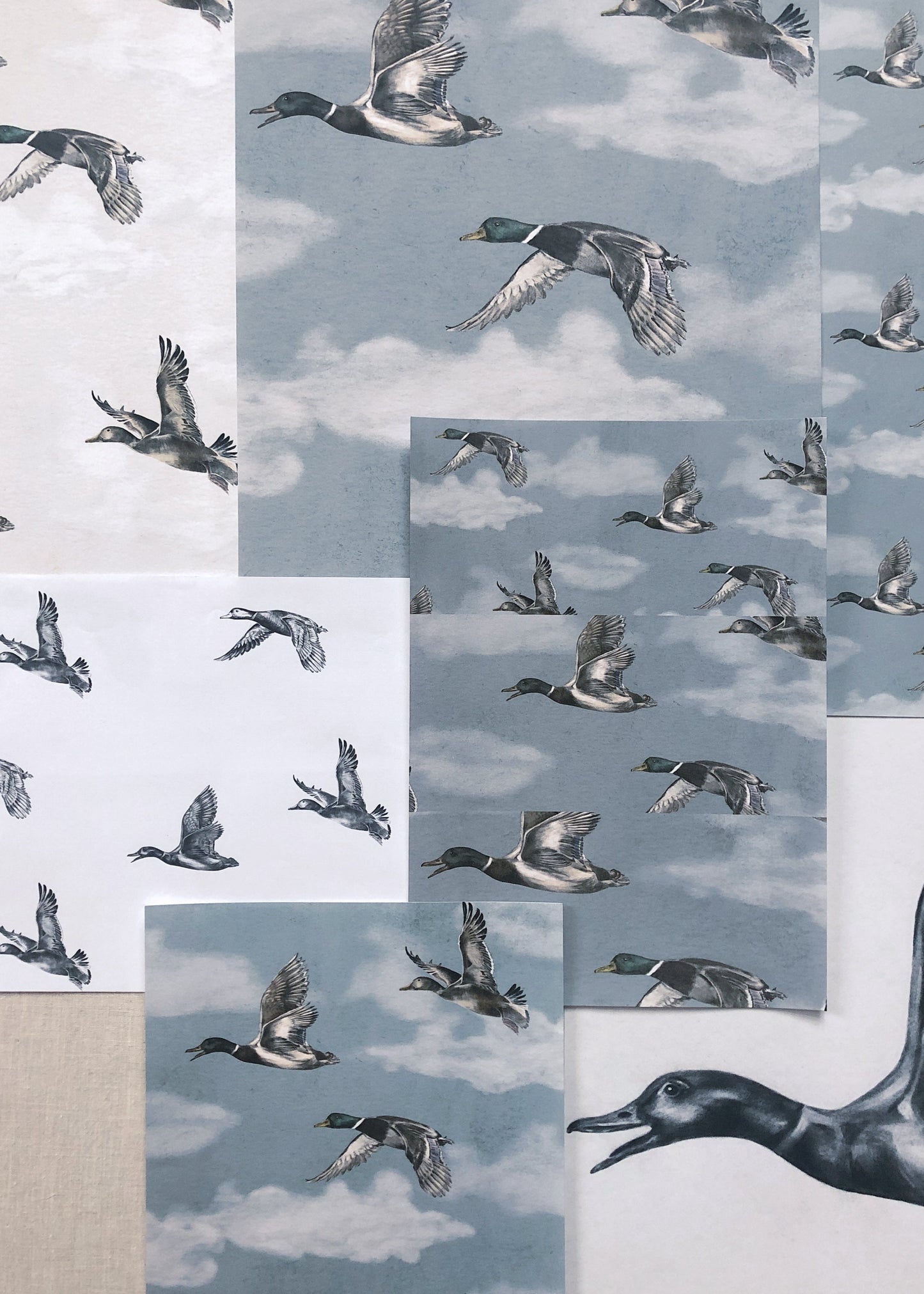Summer Gray Wallpaper - Voyage - Winter Blue
