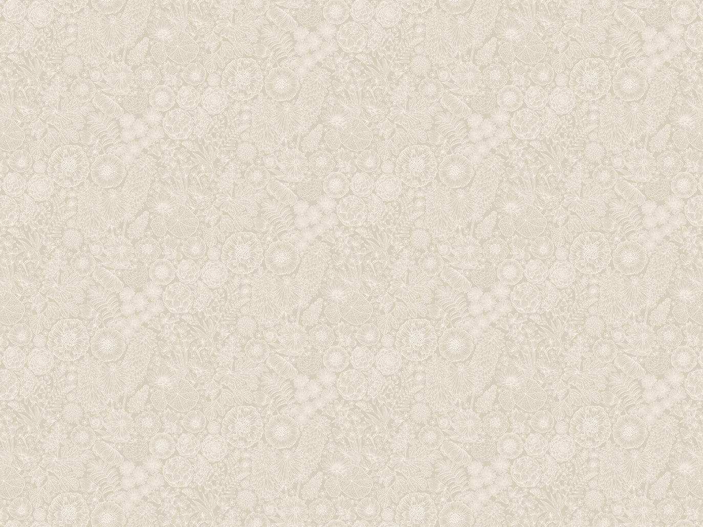 Papier peint gris d'été - août - beige