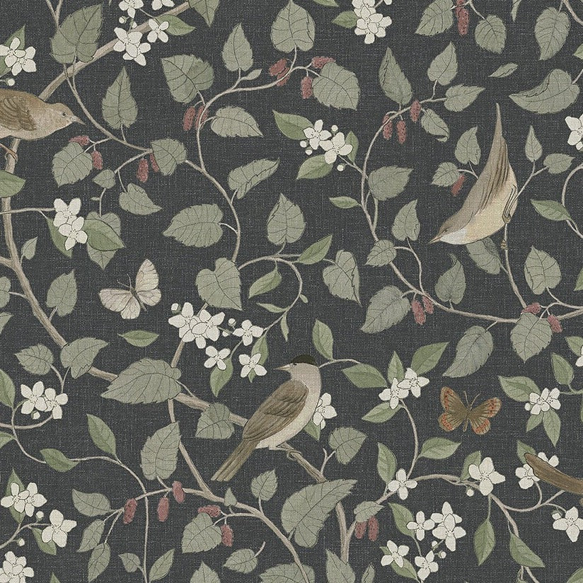 Papier peint Borastapeter - Oiseaux chanteurs - Noir