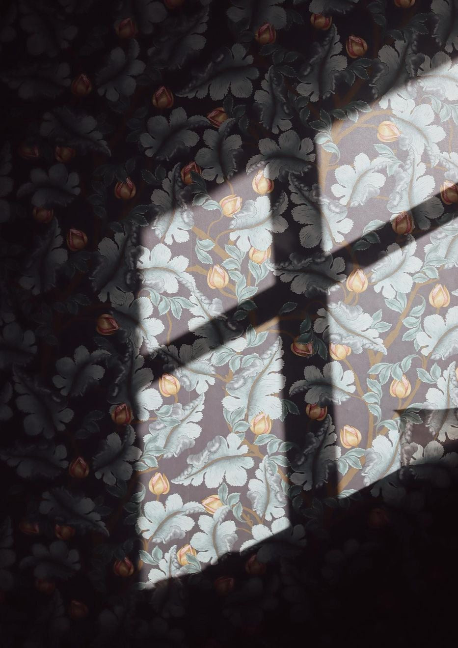 Papier peint floral - Renoncule - Bleu minuit