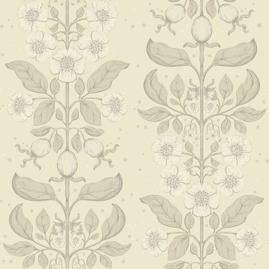 Midbec Wallpaper - Rosa - 48009