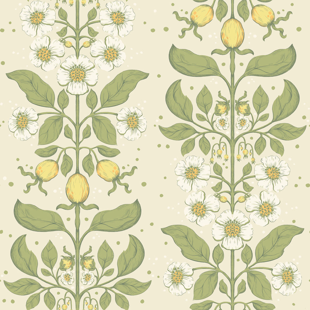 Papier peint Midbec - Rosa - 48010