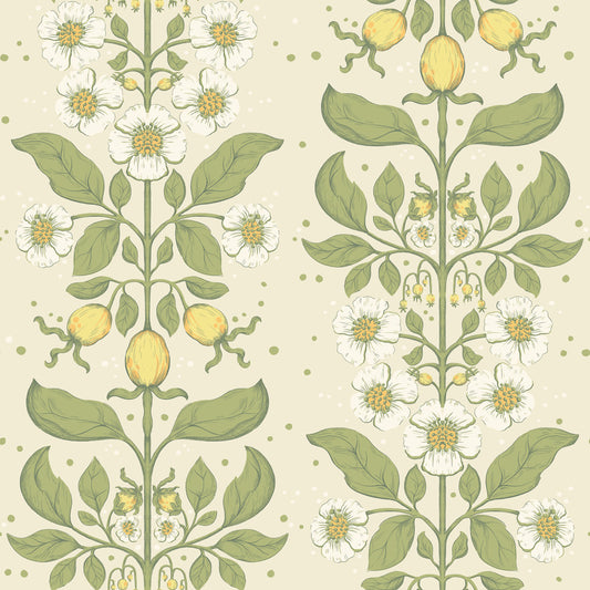 Papier peint Midbec - Rosa - 48010