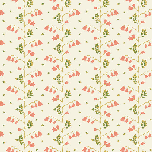 Campanule - Rose
