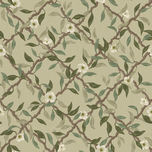 Papier peint gris d'été - Espalier - Vert sauge (VENTE)