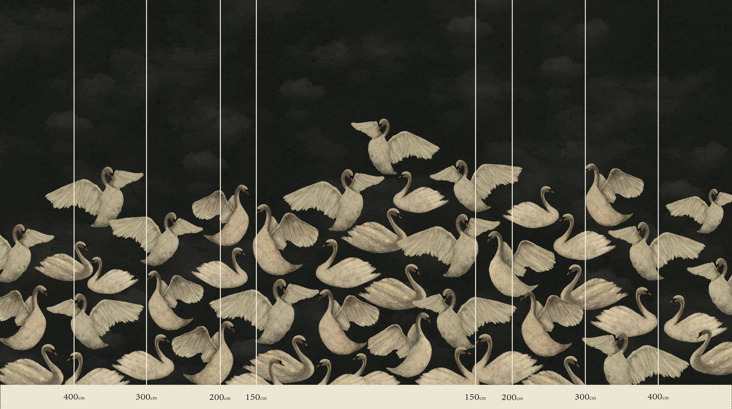 Cygnes de Nuit - Charbon
