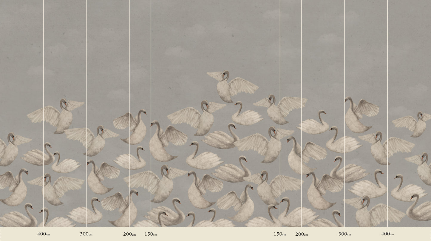Cygnes de Nuit - Gris