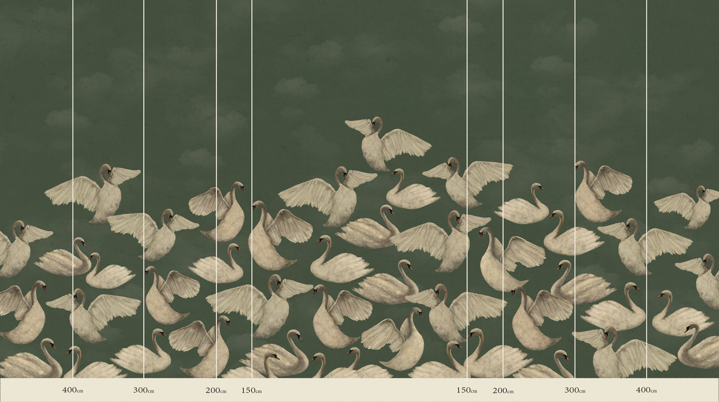 Cygnes de Nuit - Sauge