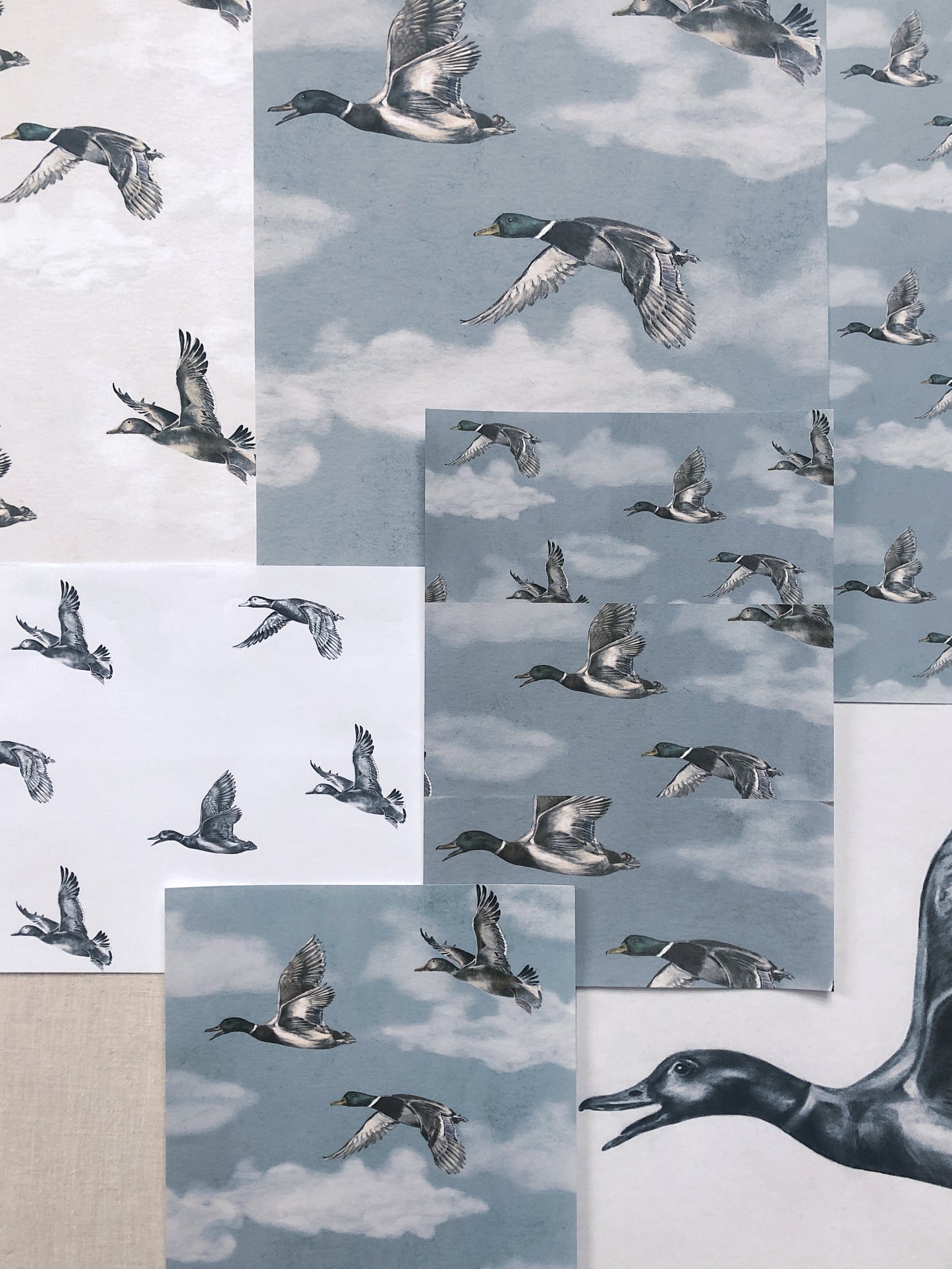Papier peint gris d'été - Voyage - Gris nordique