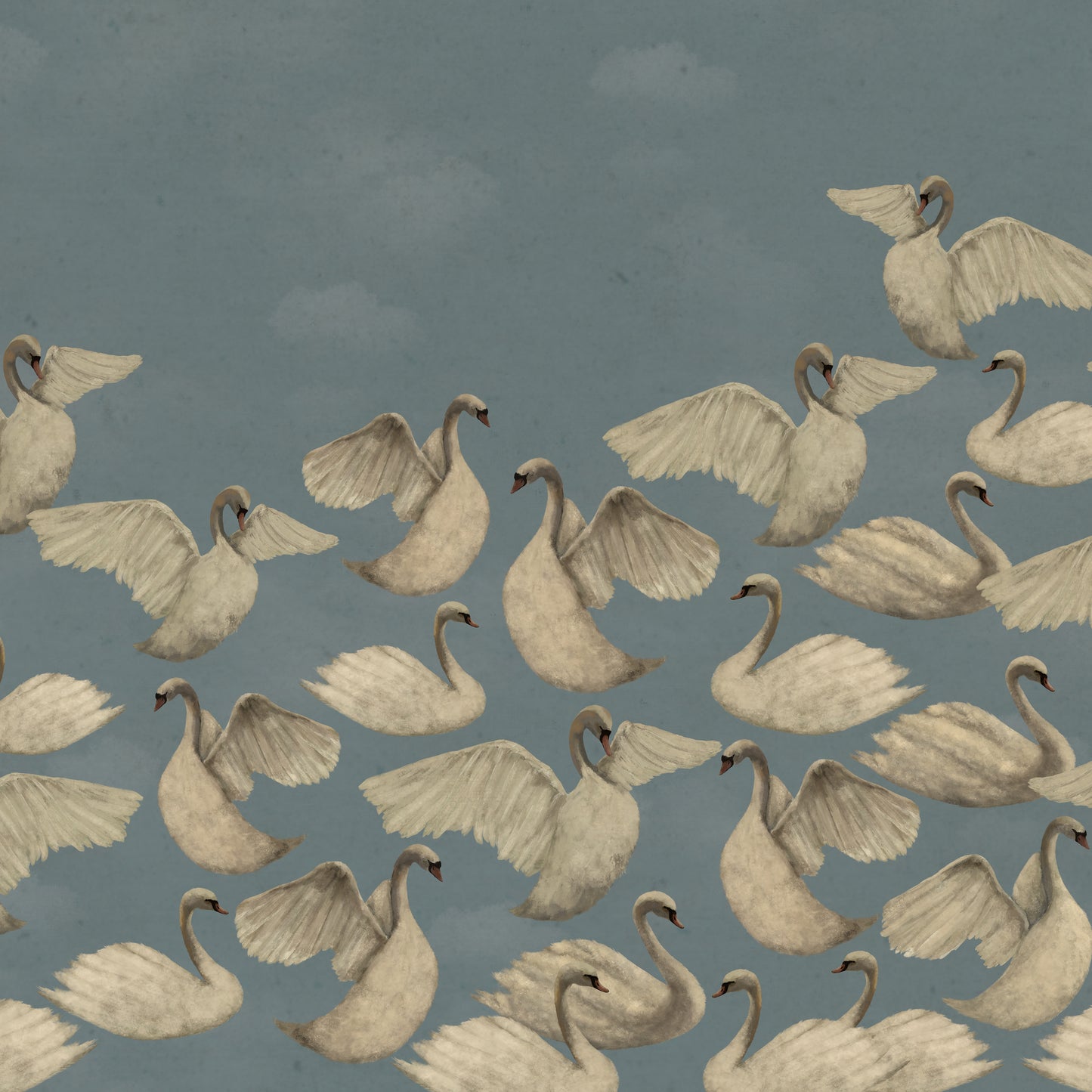 Cygnes de Nuit - Ciel
