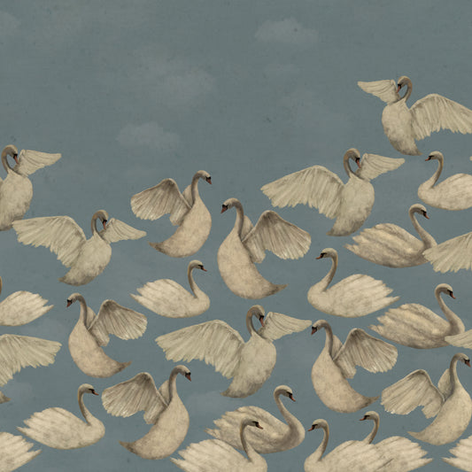 Cygnes de Nuit - Ciel
