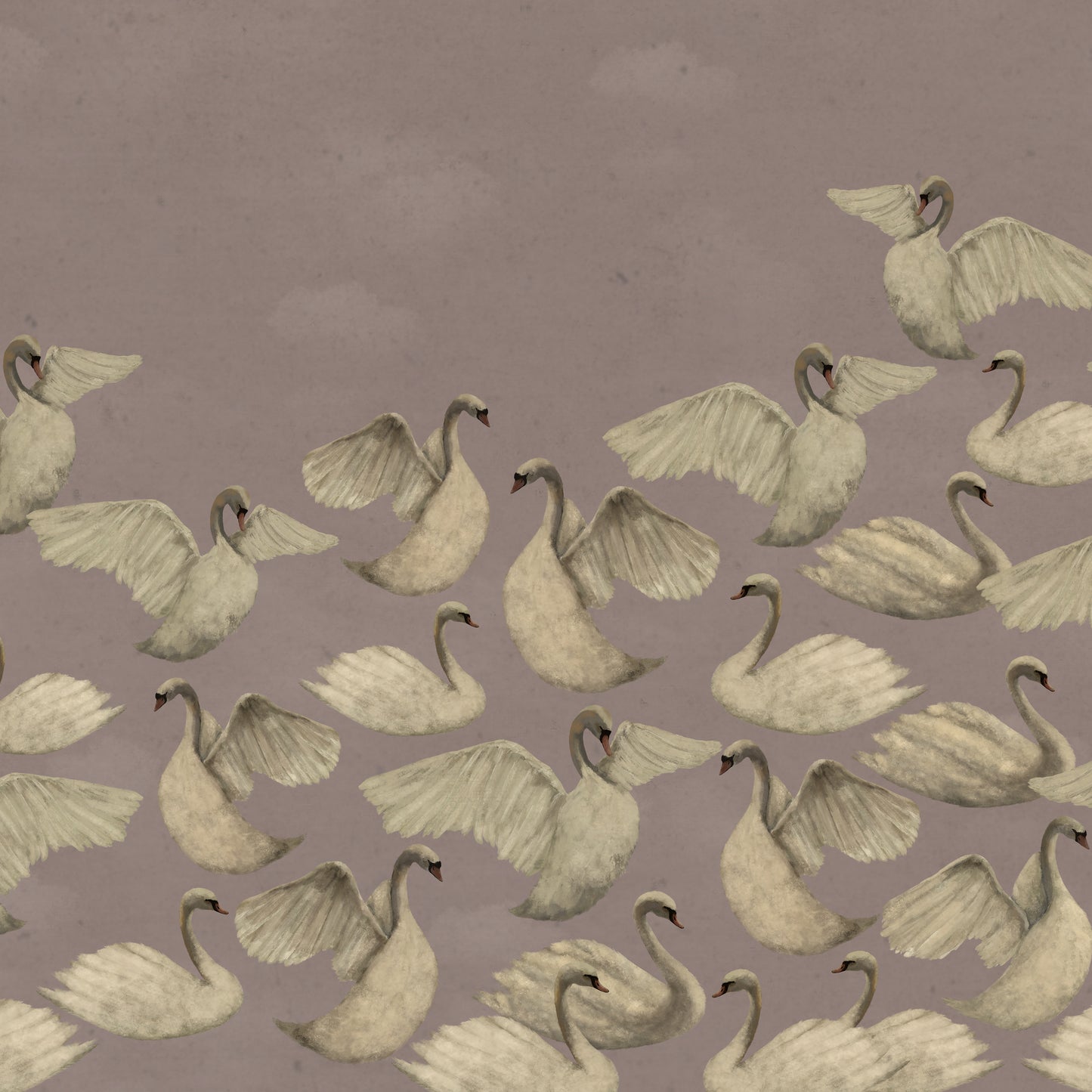 Cygnes de Nuit - Rose Poussiéreux