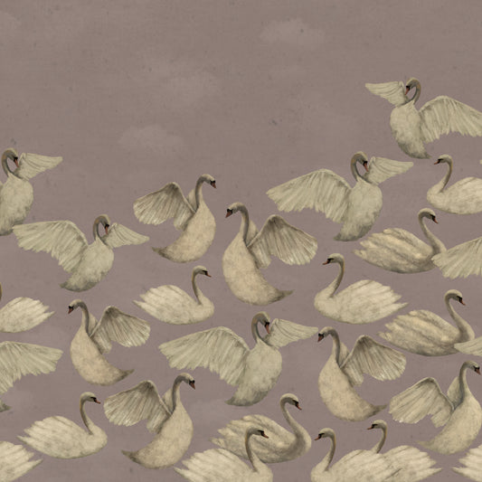 Cygnes de Nuit - Rose Poussiéreux