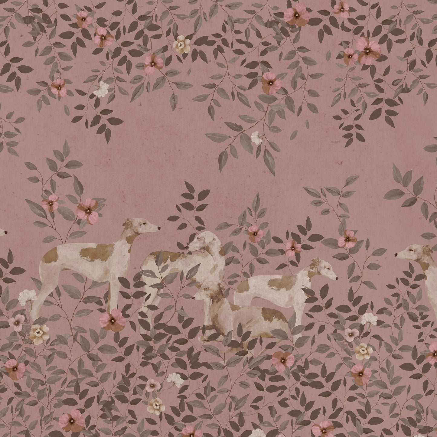 Prairie Tranquille - Rose