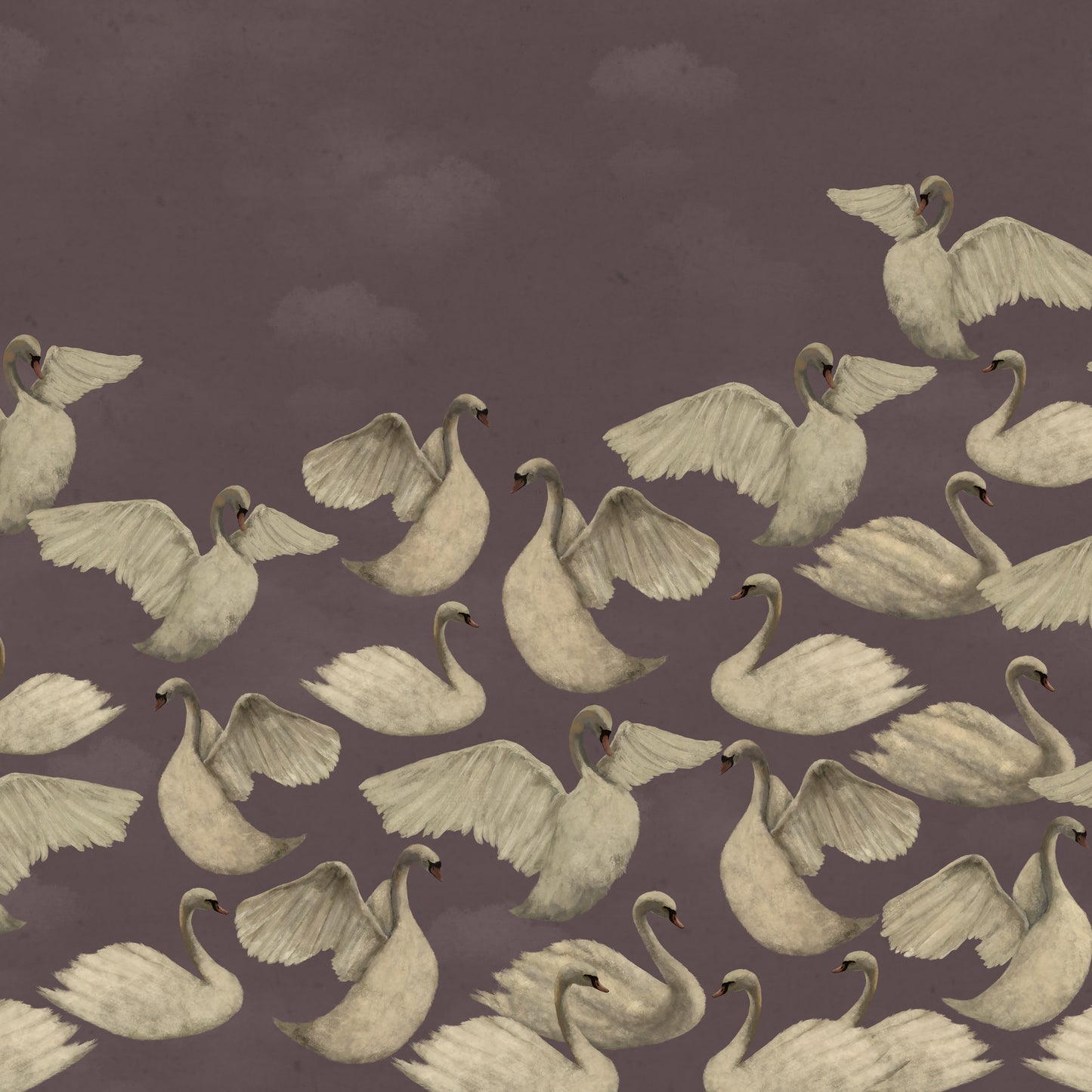 Cygnes de Nuit - Mauve