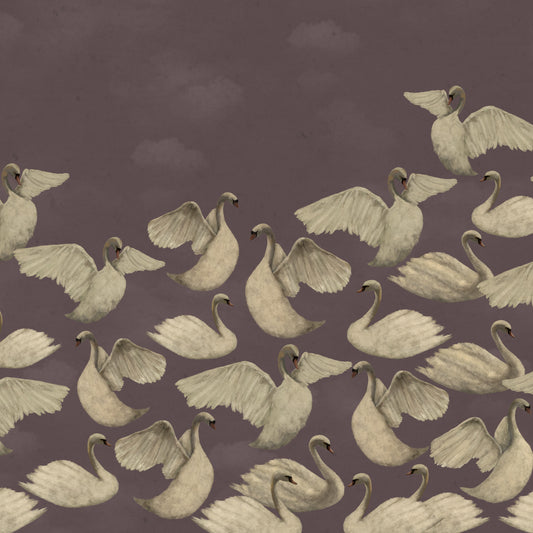 Cygnes de Nuit - Mauve