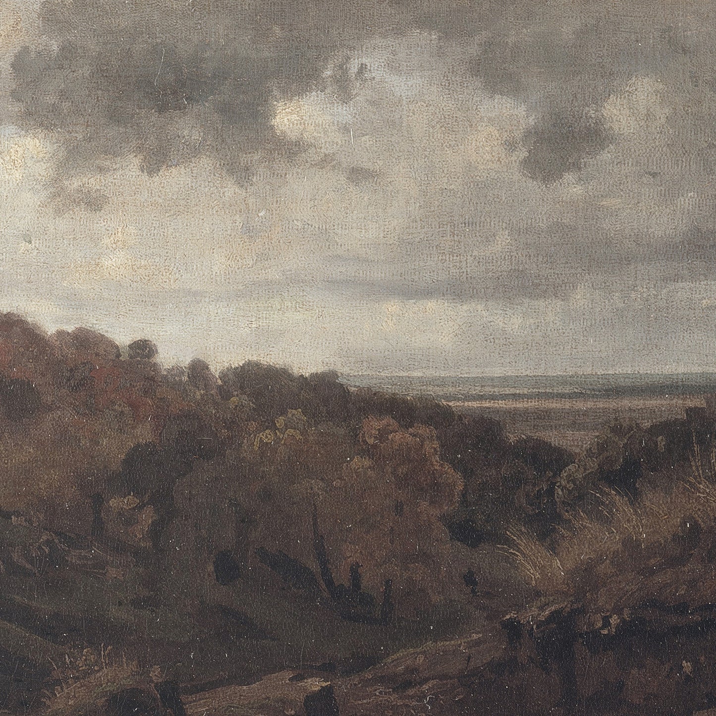 Landscape - Brown