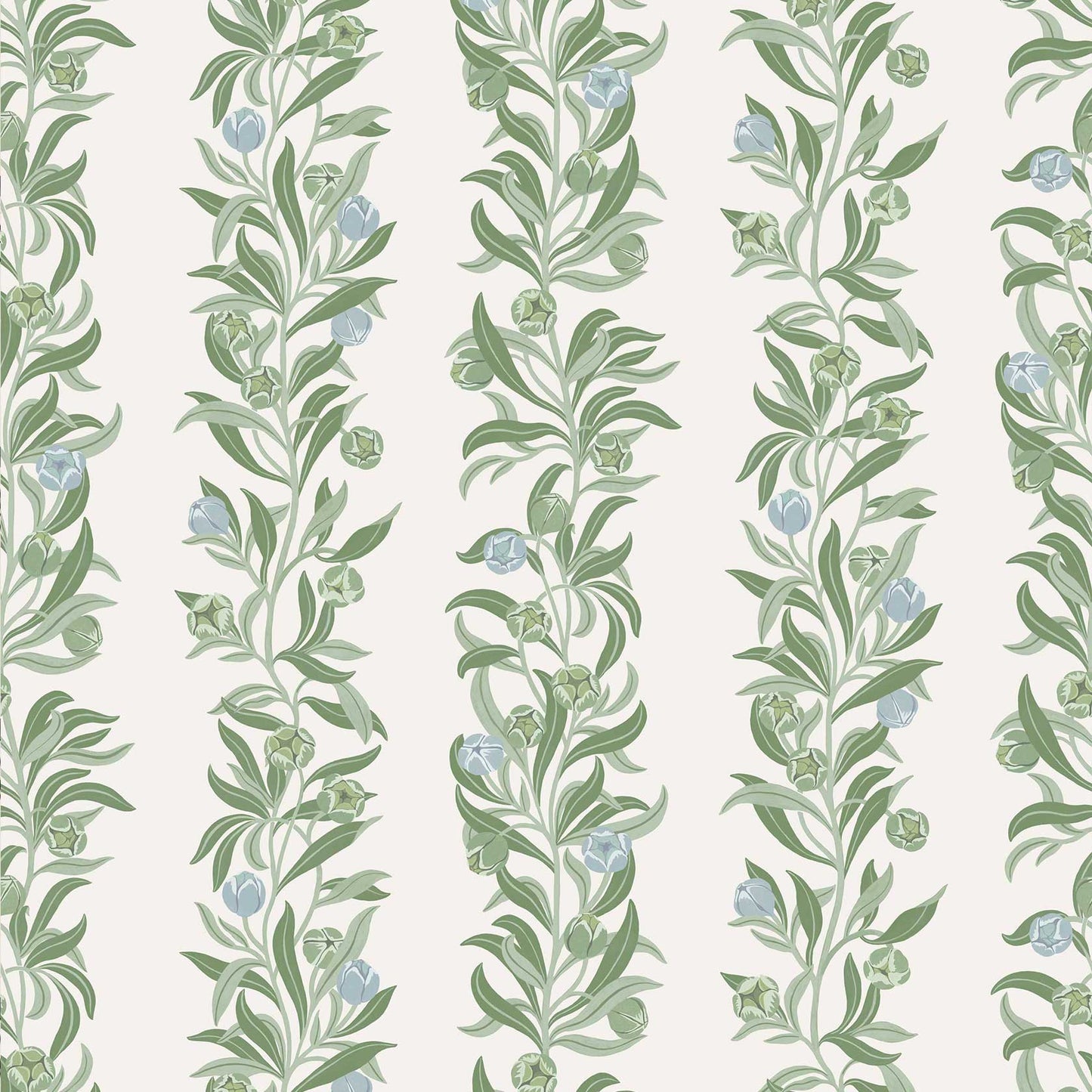Grandiflora - Sage Green