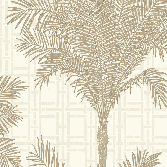 Borastapeter - Arbre Copacabana - Fond blanc