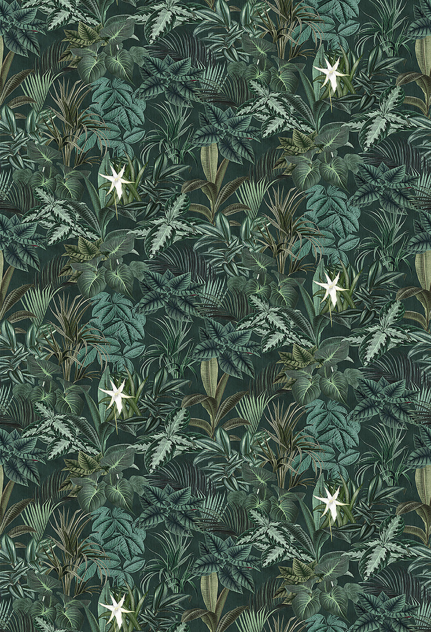 Papier peint Borastapeter - fresque feuilles de Madagascar
